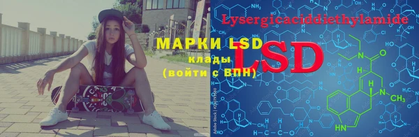 стаф Пестово