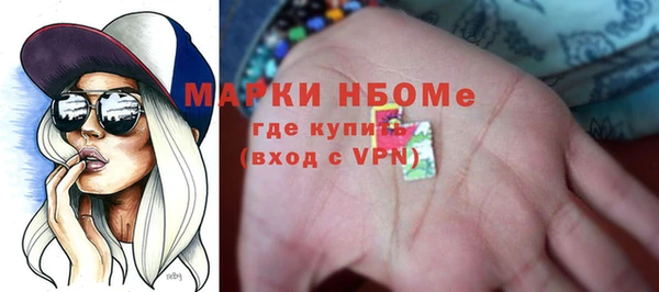 шишки Переславль-Залесский