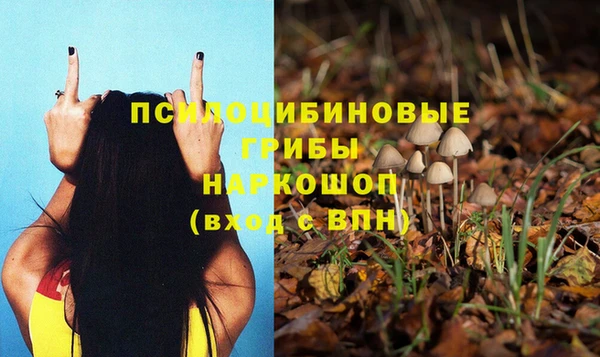 шишки Переславль-Залесский