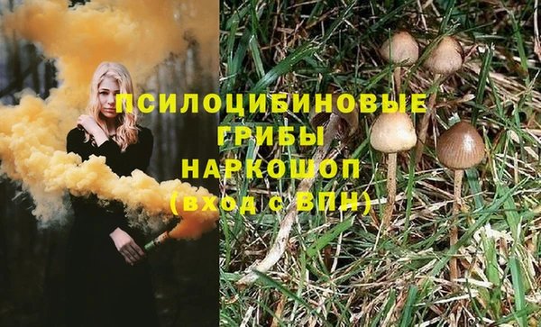 стаф Пестово