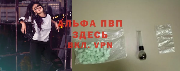 стаф Пестово