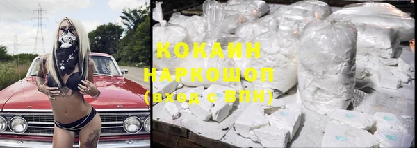 стаф Пестово