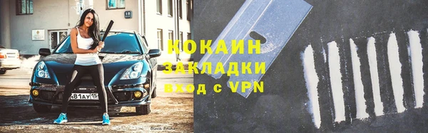 шишки Переславль-Залесский