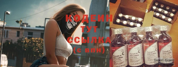 шишки Переславль-Залесский