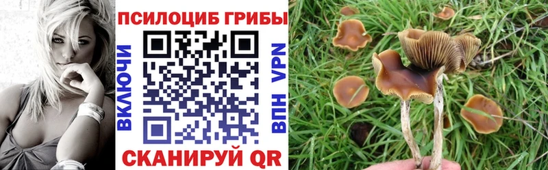 МЕГА вход  купить наркотики сайты  Азнакаево  Псилоцибиновые грибы GOLDEN TEACHER 