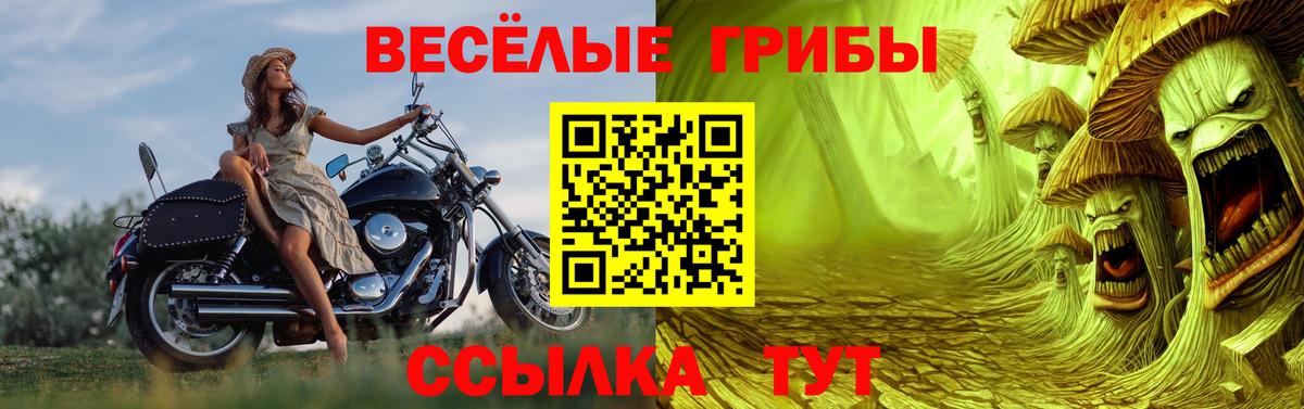 Псилоцибиновые грибы Cubensis  Псилоцибиновые грибы Magic Shrooms  Вход с VPN  Азнакаево 